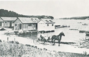 gifford oyster company looking north