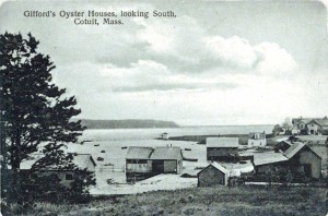 gifford oyster company looking south